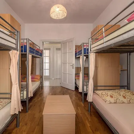 Hostel Backpackers